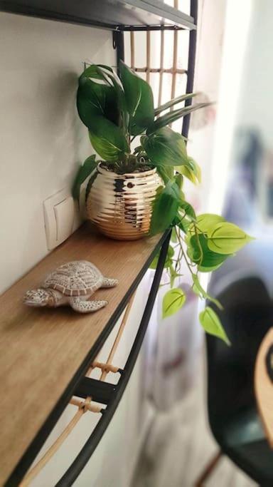 Apartman Lammi ספליט מראה חיצוני תמונה